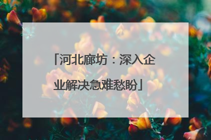 河北廊坊：深入企业解决急难愁盼