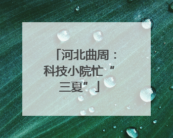 河北曲周：科技小院忙“三夏”