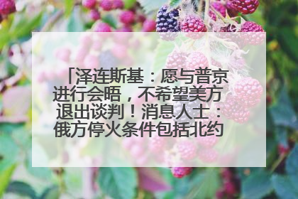 泽连斯基：愿与普京进行会晤，不希望美方退出谈判！消息人士：俄方停火条件包括北约“书面”保证不东扩