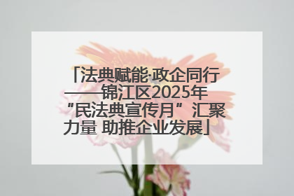 法典赋能·政企同行——锦江区2025年“民法典宣传月”汇聚力量 助推企业发展