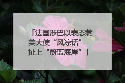 法国涉巴以表态惹美大使“风凉话” 扯上“蔚蓝海岸”