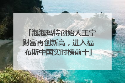 泡泡玛特创始人王宁财富再创新高，进入福布斯中国实时榜前十