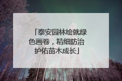 泰安园林绘就绿色画卷，精细防治护佑苗木成长