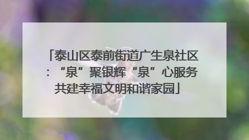 泰山区泰前街道广生泉社区：“泉”聚银辉“泉”心服务共建幸福文明和谐家园