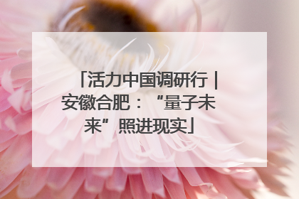 活力中国调研行｜安徽合肥：“量子未来”照进现实