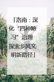洛南：深化“四种陋习”治理 探索乡风文明新路径