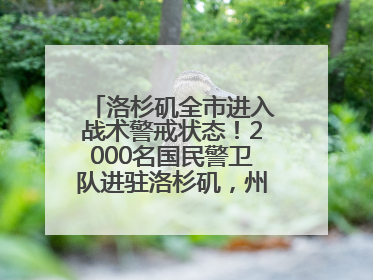 洛杉矶全市进入战术警戒状态！2000名国民警卫队进驻洛杉矶，州长市长齐批特朗普“制造混乱”