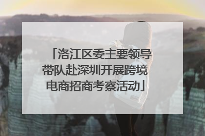 洛江区委主要领导带队赴深圳开展跨境电商招商考察活动