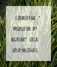 洛阳开展“典进企业 护航发展”送法进企业活动
