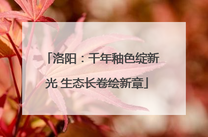 洛阳：千年釉色绽新光 生态长卷绘新章