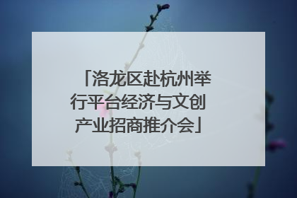 洛龙区赴杭州举行平台经济与文创产业招商推介会