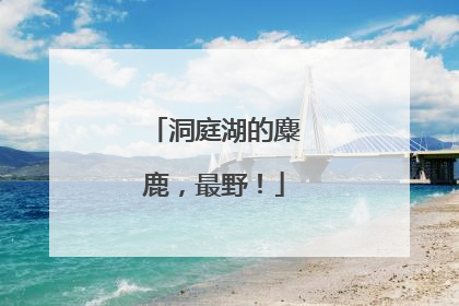 洞庭湖的麋鹿，最野！