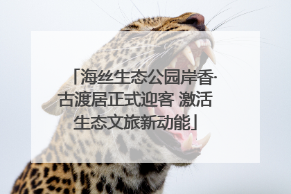 海丝生态公园岸香·古渡居正式迎客 激活生态文旅新动能