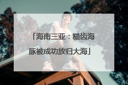 海南三亚：糙齿海豚被成功放归大海