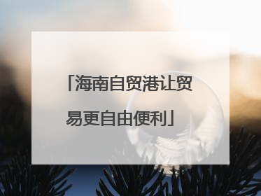 海南自贸港让贸易更自由便利
