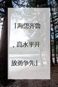 海岱齐鲁，高水平开放勇争先