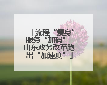 流程“瘦身”服务“加码” 山东政务改革跑出“加速度”