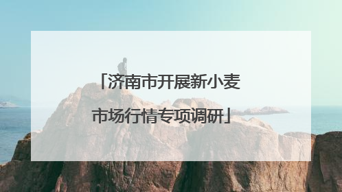 济南市开展新小麦市场行情专项调研
