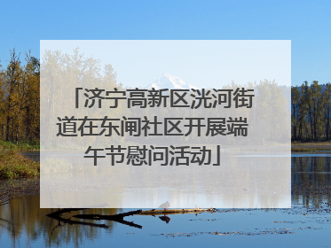 济宁高新区洸河街道在东闸社区开展端午节慰问活动