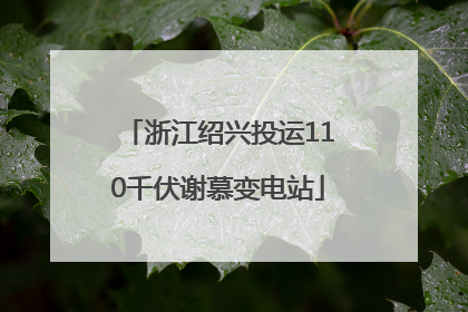浙江绍兴投运110千伏谢慕变电站