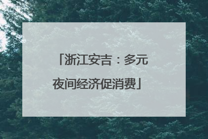 浙江安吉：多元夜间经济促消费