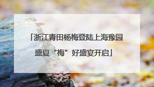 浙江青田杨梅登陆上海豫园 盛夏“梅”好盛宴开启
