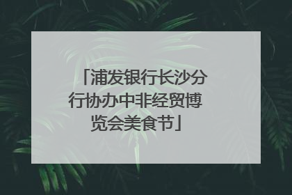 浦发银行长沙分行协办中非经贸博览会美食节