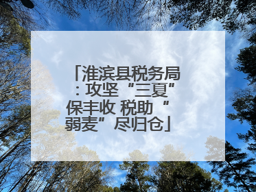 淮滨县税务局：攻坚“三夏”保丰收 税助“弱麦”尽归仓