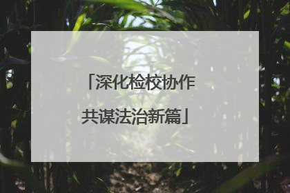 深化检校协作 共谋法治新篇