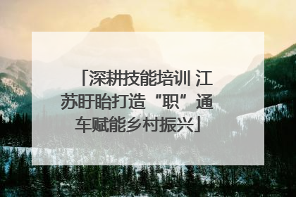 深耕技能培训 江苏盱眙打造“职”通车赋能乡村振兴