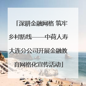 深耕金融网格 筑牢乡村防线——中荷人寿大连分公司开展金融教育网格化宣传活动