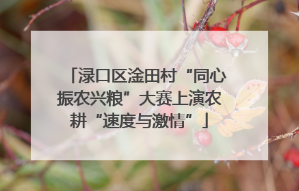 渌口区淦田村“同心振农兴粮”大赛上演农耕“速度与激情”