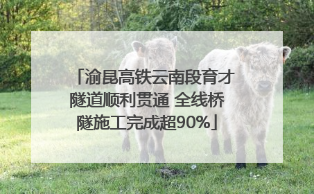 渝昆高铁云南段育才隧道顺利贯通 全线桥隧施工完成超90%