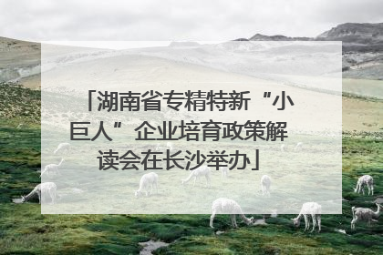 湖南省专精特新“小巨人”企业培育政策解读会在长沙举办