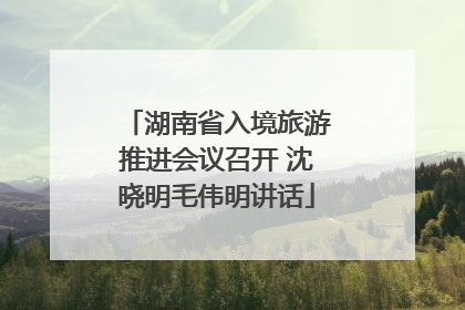 湖南省入境旅游推进会议召开 沈晓明毛伟明讲话
