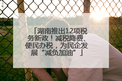 湖南推出12项税务新政！减税降费、便民办税，为民企发展“减负加油”