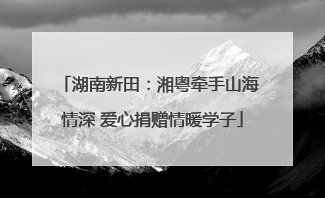 湖南新田：湘粤牵手山海情深 爱心捐赠情暖学子