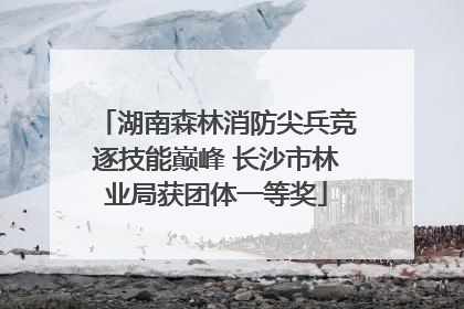 湖南森林消防尖兵竞逐技能巅峰 长沙市林业局获团体一等奖