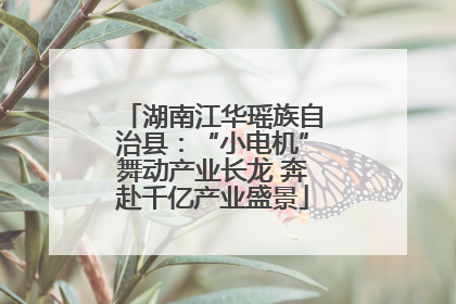 湖南江华瑶族自治县：“小电机”舞动产业长龙 奔赴千亿产业盛景