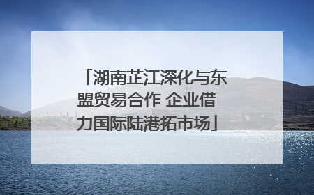 湖南芷江深化与东盟贸易合作 企业借力国际陆港拓市场