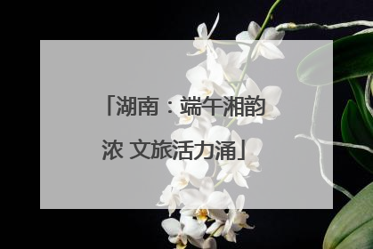 湖南：端午湘韵浓 文旅活力涌