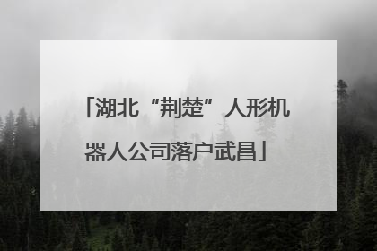 湖北“荆楚”人形机器人公司落户武昌