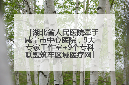 湖北省人民医院牵手咸宁市中心医院，9大专家工作室+9个专科联盟筑牢区域医疗网