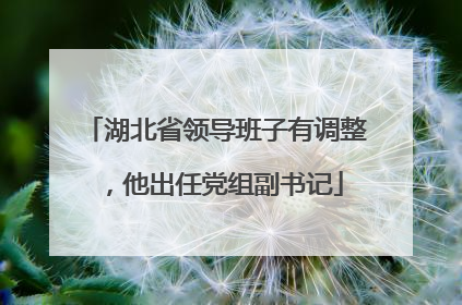 湖北省领导班子有调整，他出任党组副书记