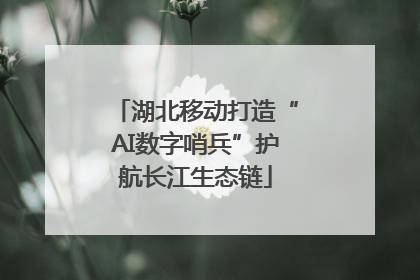 湖北移动打造“AI数字哨兵”护航长江生态链