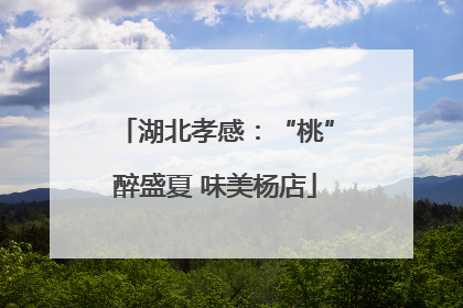 湖北孝感：“桃”醉盛夏 味美杨店