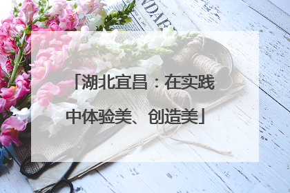 湖北宜昌：在实践中体验美、创造美