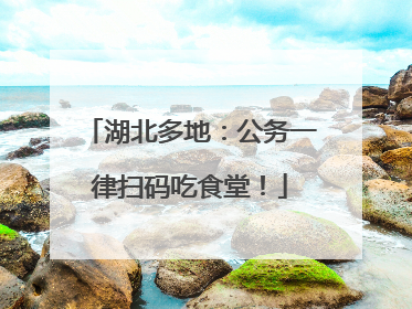 湖北多地：公务一律扫码吃食堂！