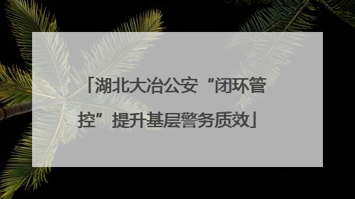 湖北大冶公安“闭环管控”提升基层警务质效