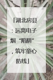湖北房县：远离电子烟“陷阱”，筑牢童心防线